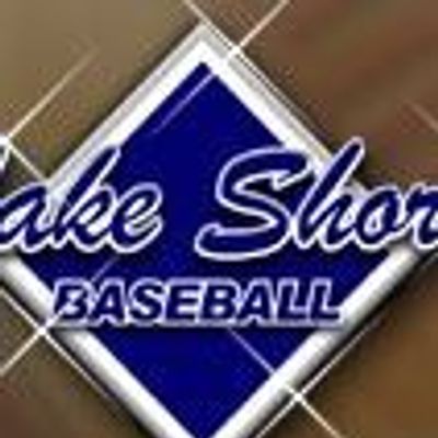 Lake Shore Youth Baseball