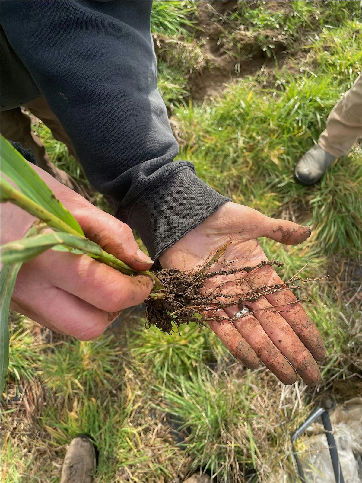 Visual Soil Assessments\/Evaluaciones Visuales del Suelo