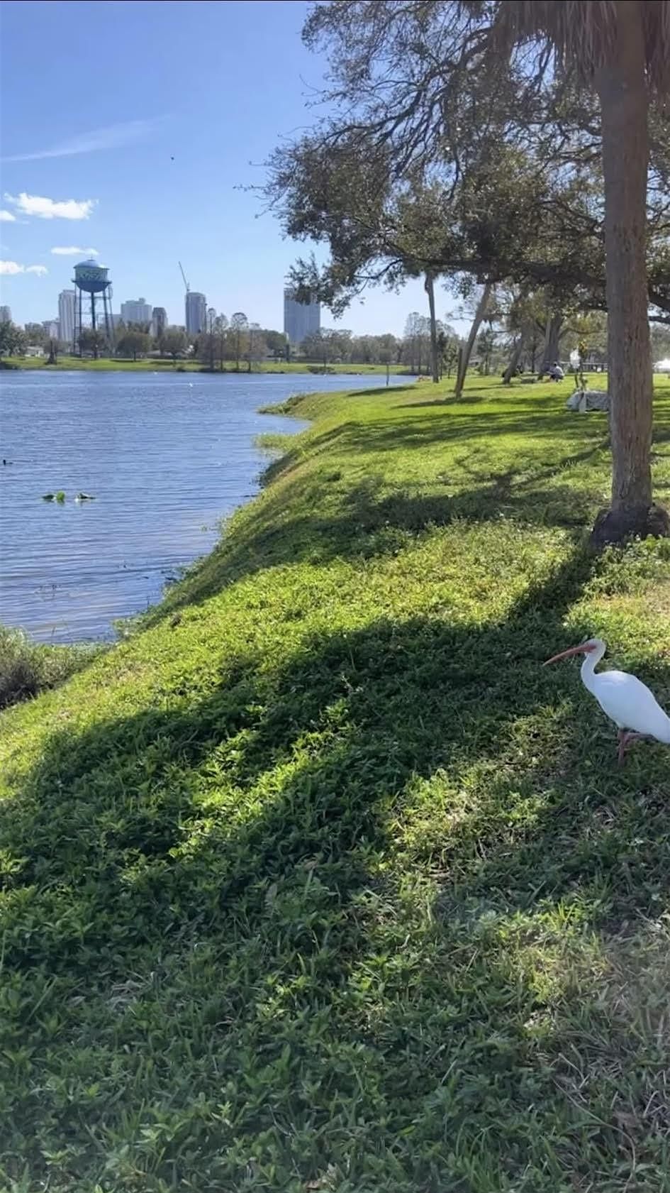 Lakefront Picnic Coffee Morning Stroll