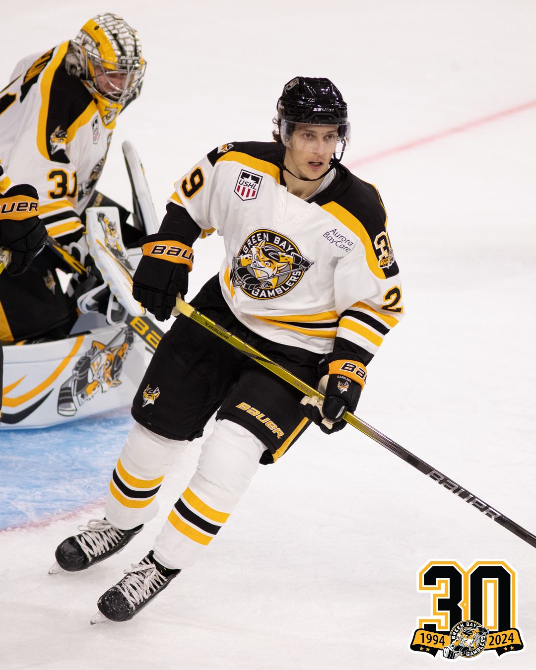 Green Bay Gamblers at Des Moines Buccaneers at The MidAmerican Energy Company RecPlex