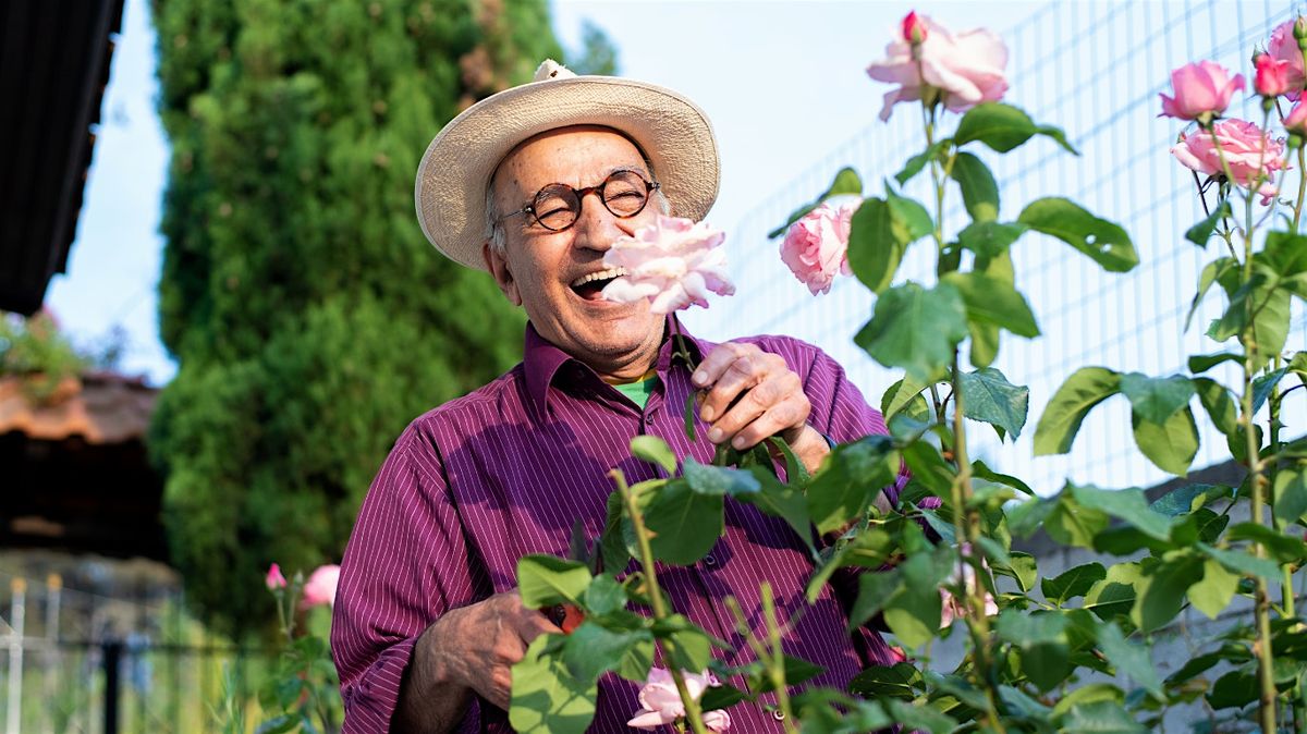 Dorchester - Gardening with Phuong