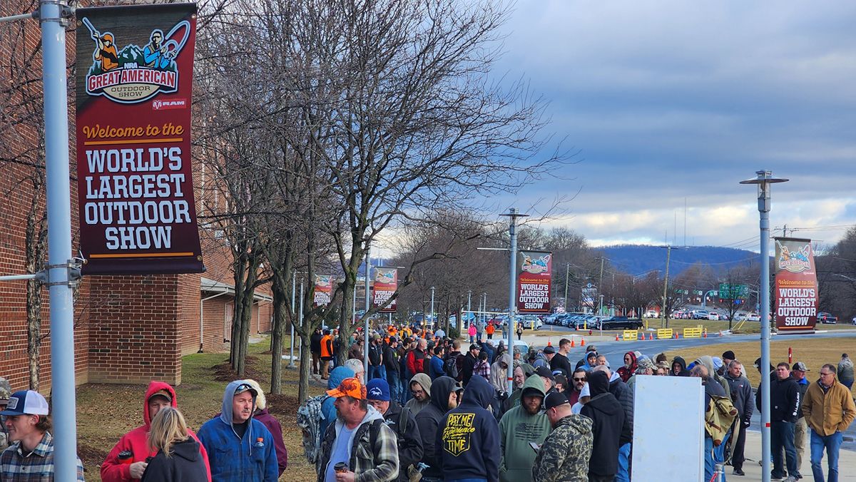 Great American Dog Show