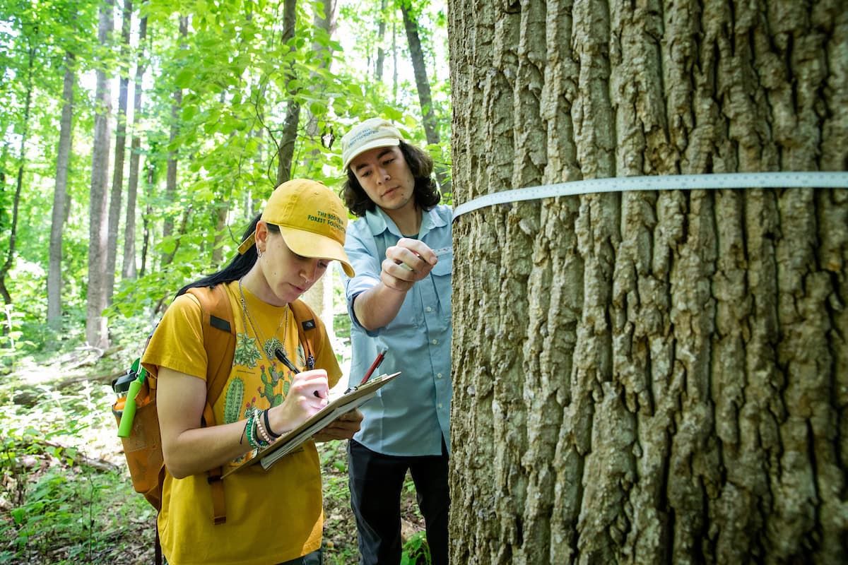 Into the Woods - Lynchburg