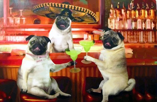 Papi Chulos Dog Friendly Happy Hour -Jupiter