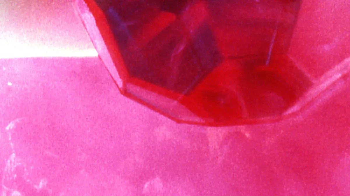 Tourist in City of New York