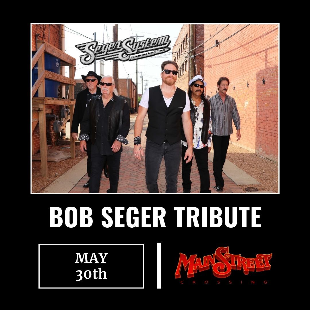 Seger System - Bob Seger Tribute