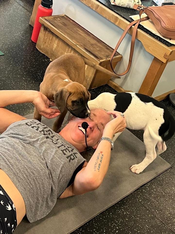 Puppy Yoga at Juice Box Yoga - Reno