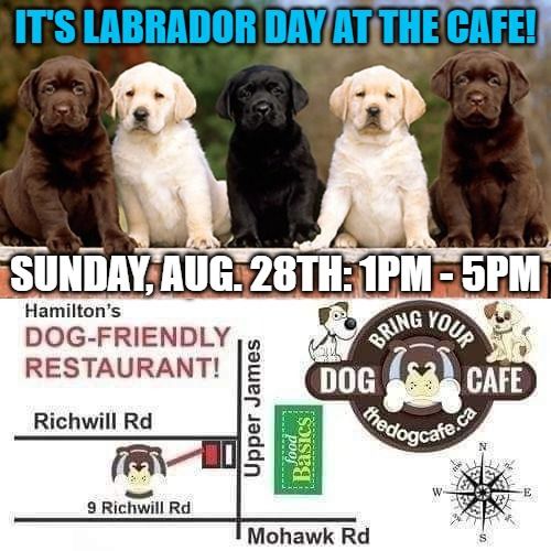 Labrador Day!