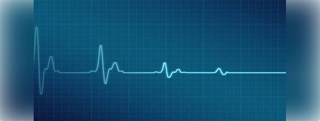 European Paediatric Advanced Life Support (EPALS) 09-10\/03\/2027