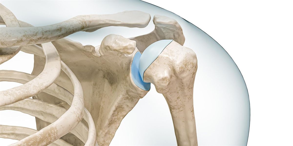 Saturday Series: Shoulder Anatomy & Function