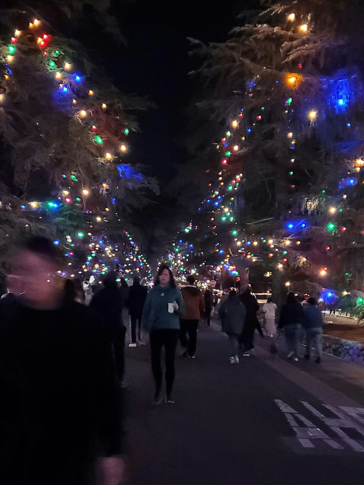 2025 Holiday Lights Ride