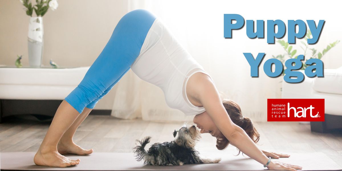 Puppy Yoga