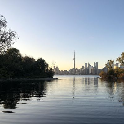 Toronto Island Oasis