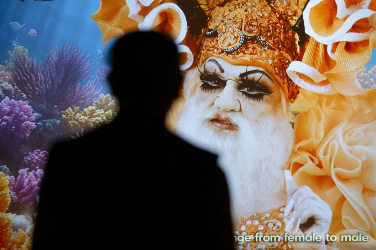 Yuki Kihara: Darwin in Paradise Camp Curator Tour