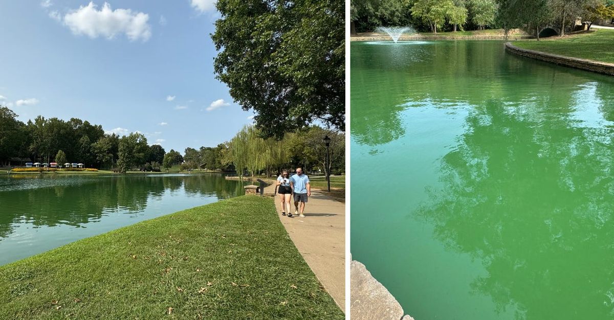 Parking Shucked - Charlotte