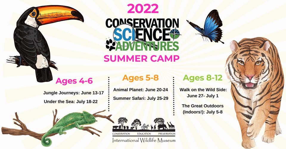 Summer Safari Summer Camp Ages 58 International Wildlife Museum