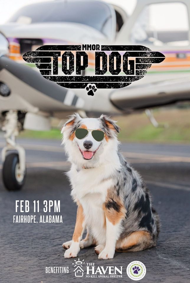 2023 Mystic Mutts of Revelry parade