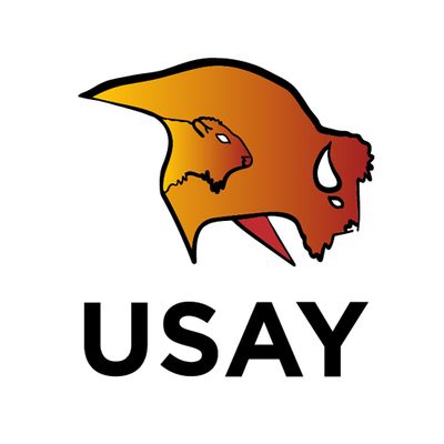 Urban Society for Aboriginal Youth (USAY)