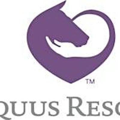 Equus Rescue and Therapy