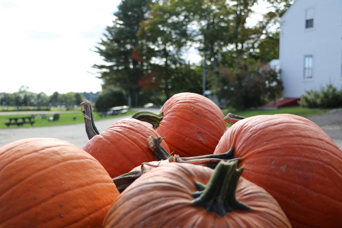 2024 Fall Festival!🍁 184 Rd, Freeport, ME, South Freeport, ME