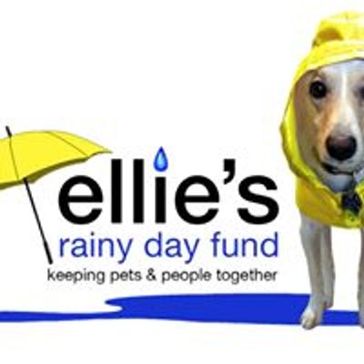 Ellie's Rainy Day Fund