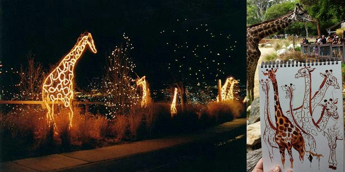 Lets Draw Animals at Zoo Lights