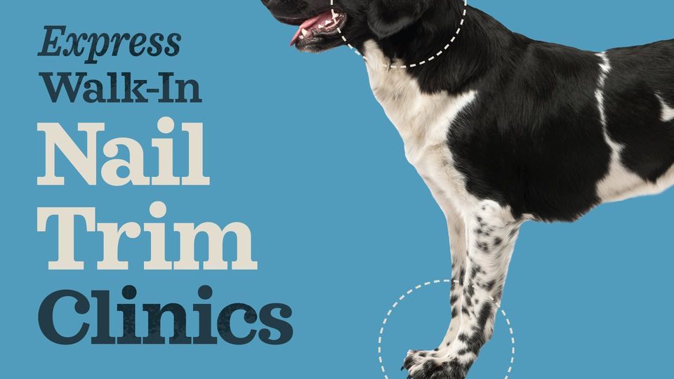 Nail Trim ClinicState St. Feeders Supply, Masonic Home, KY April 3