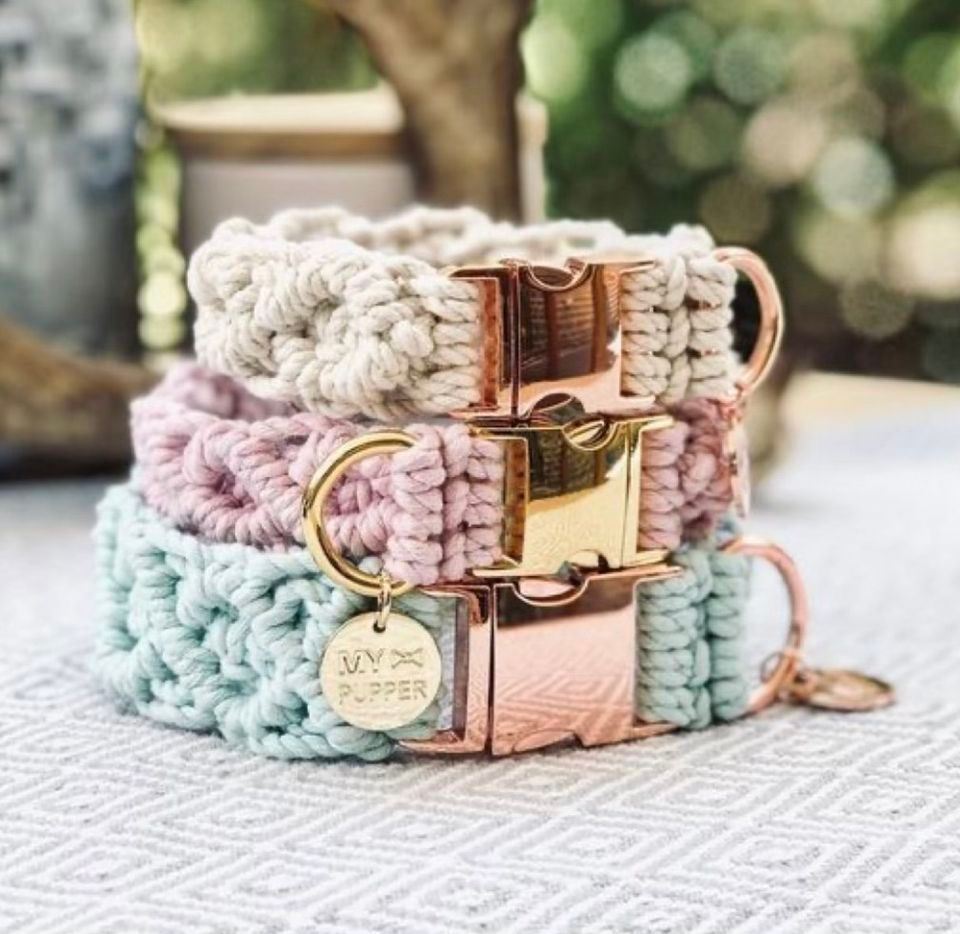 Macrame Dog Collars @Pups & Pints | Pups and Pints, Virginia Beach, VA ...