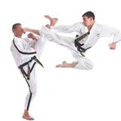 Professional Unification of Martial Arts