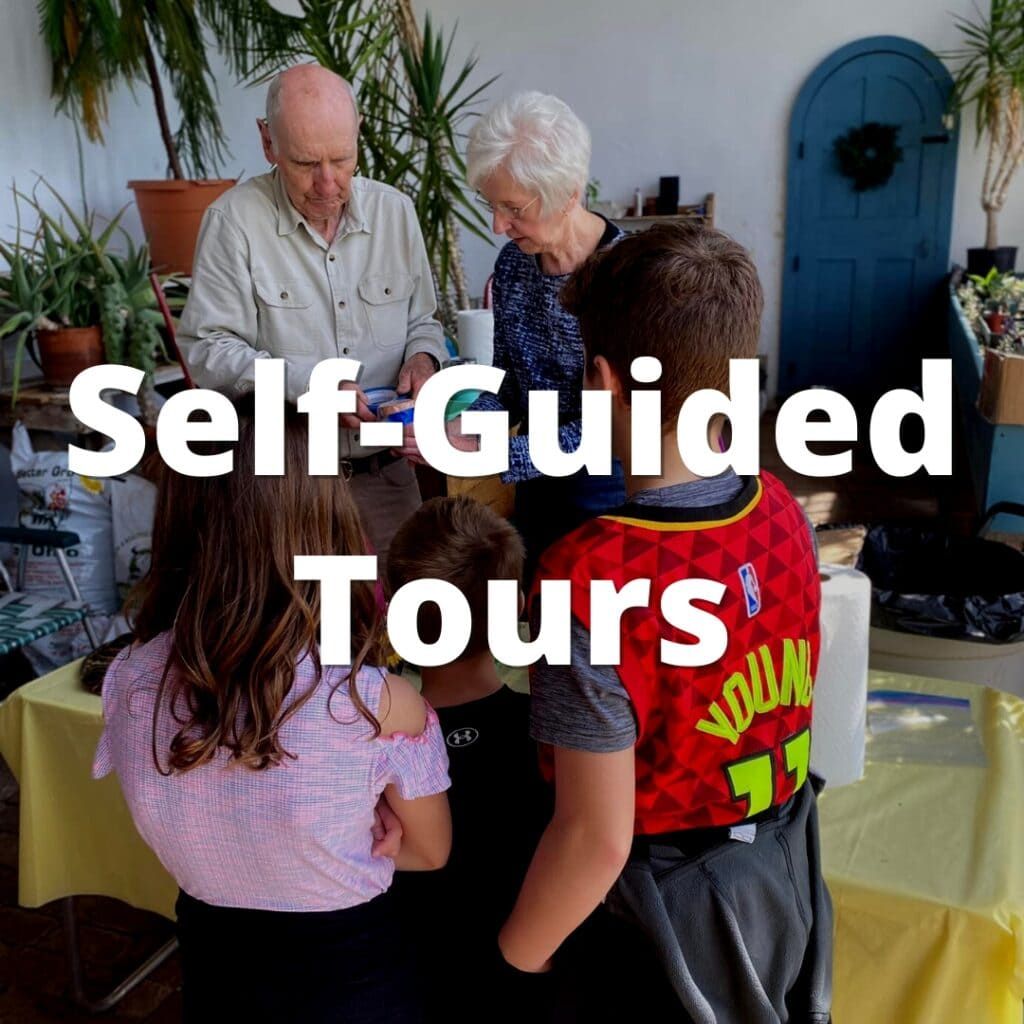 Self Guided Tour at Ryman Auditorium