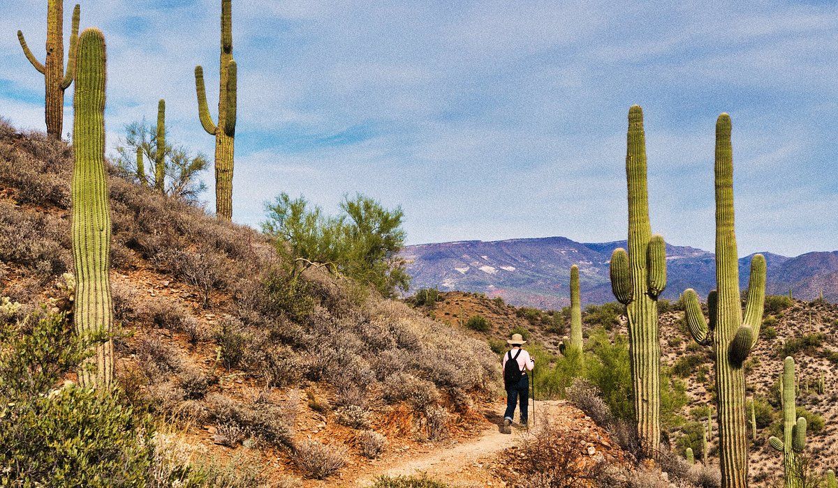 STATE FARM STADIUM TOURS - 12\/17\/2025