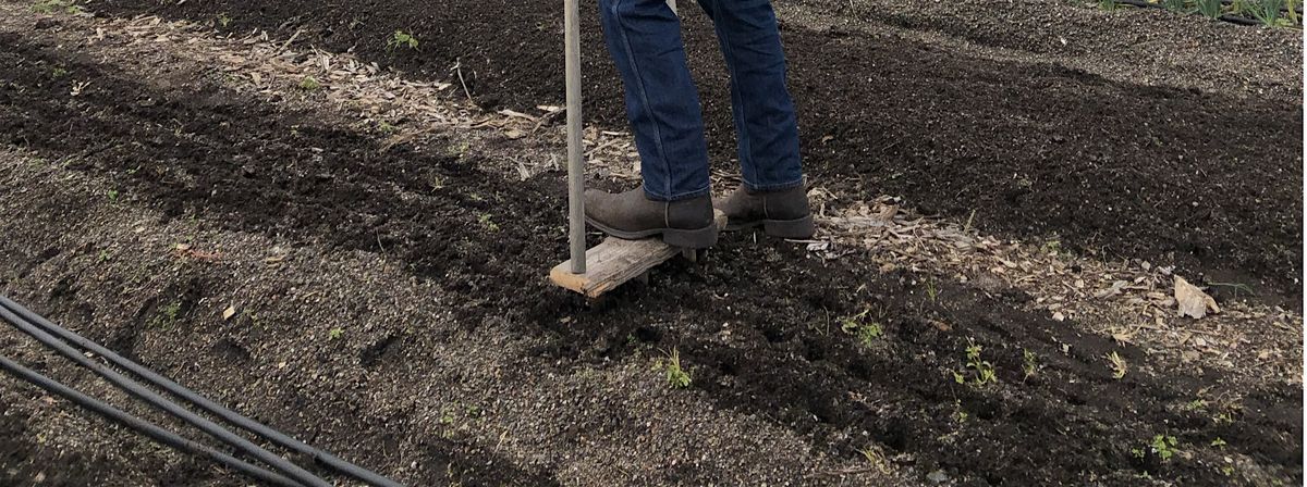 Winter Garden Planning Community Workshop