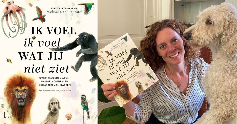 Kinderboekenweek: Ik voel, ik voel wat jij niet ziet met Lotte Stegeman