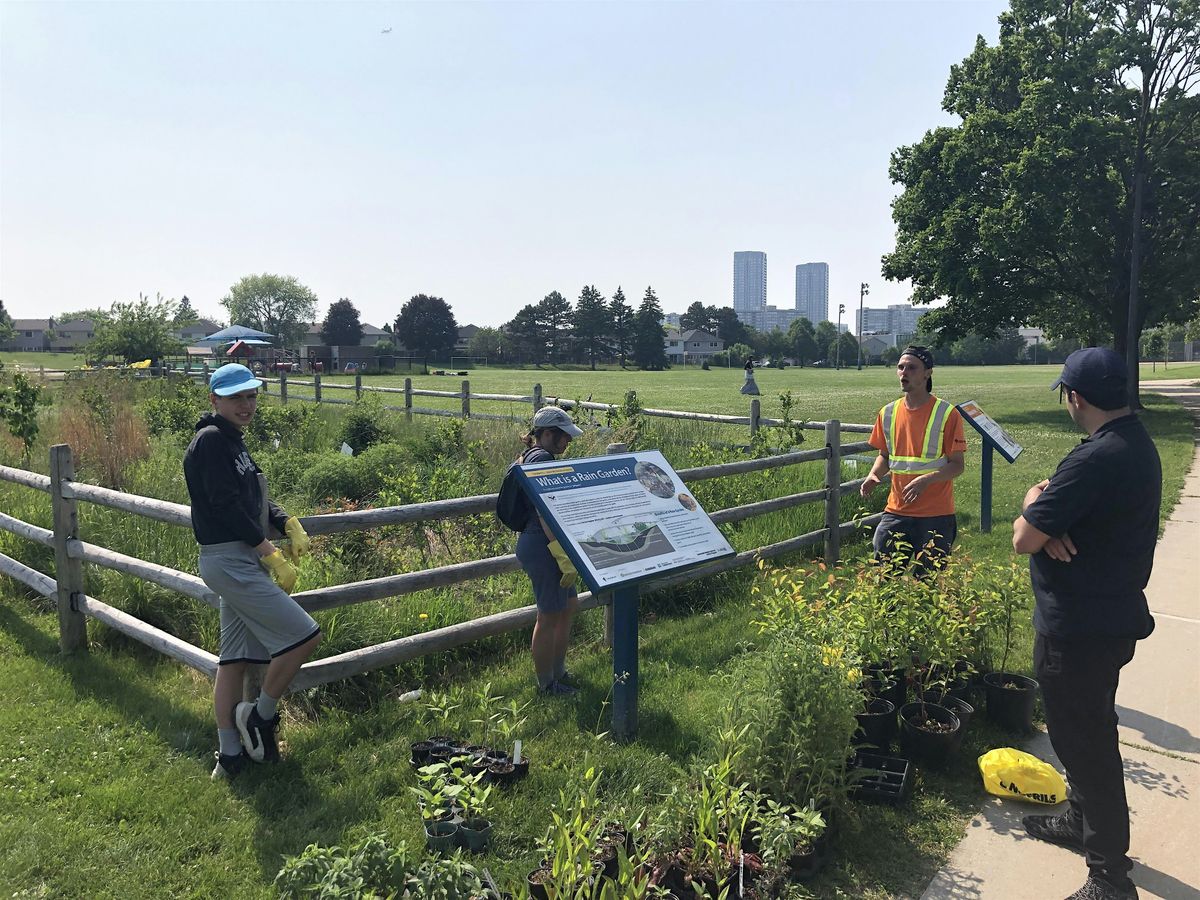 Conservation Youth Corps | Thornhill Garden Maintenance