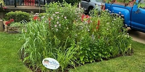 Rain Garden Workshop