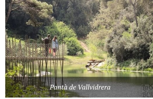 Caminata zona Vallvidrera  (CERRADO)