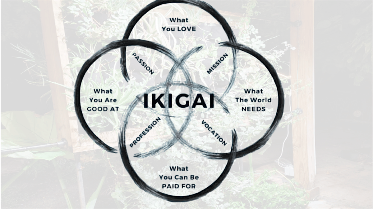 Commonal Farm Ikigai Communal Dinner at 15th Street Farm, St. Petersburg on 21st ...