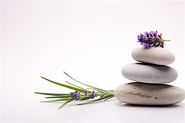 The Embark Experience: A Personalized Wellness Open House
