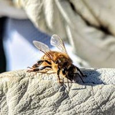 Highlands Beekeepers Association