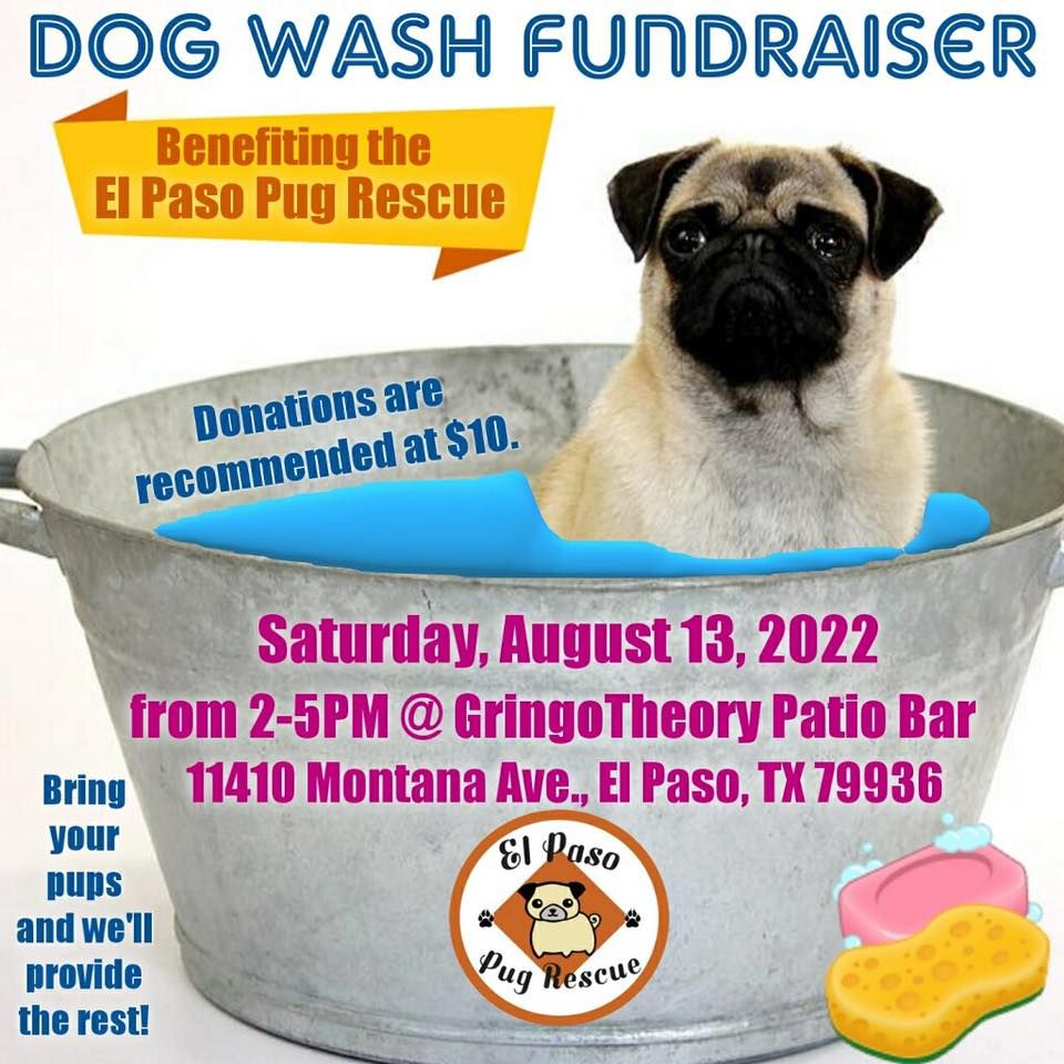 El Paso Pug Rescue Dog Wash Fundraiser GringoTheory Patio Bar, El