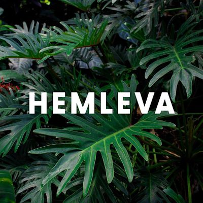 HEMLEVA