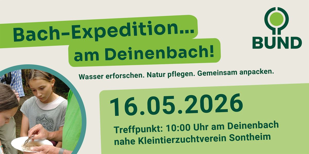 Bach-Expedition am Deinenbach zwischen Sontheim und Flein