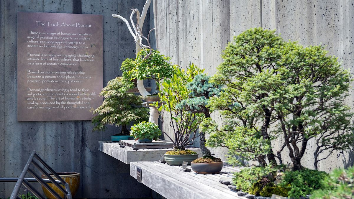 Bonsai Exhibit Talk and Tour with Arthur Joura