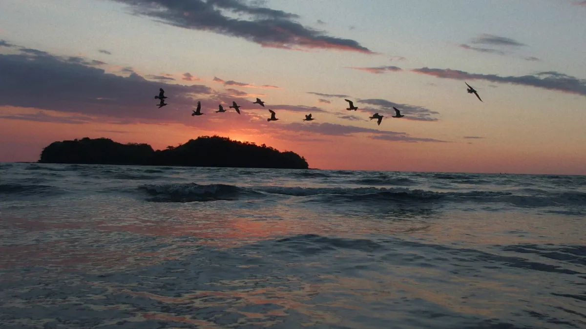 Sofiane Pamart in Roubaix