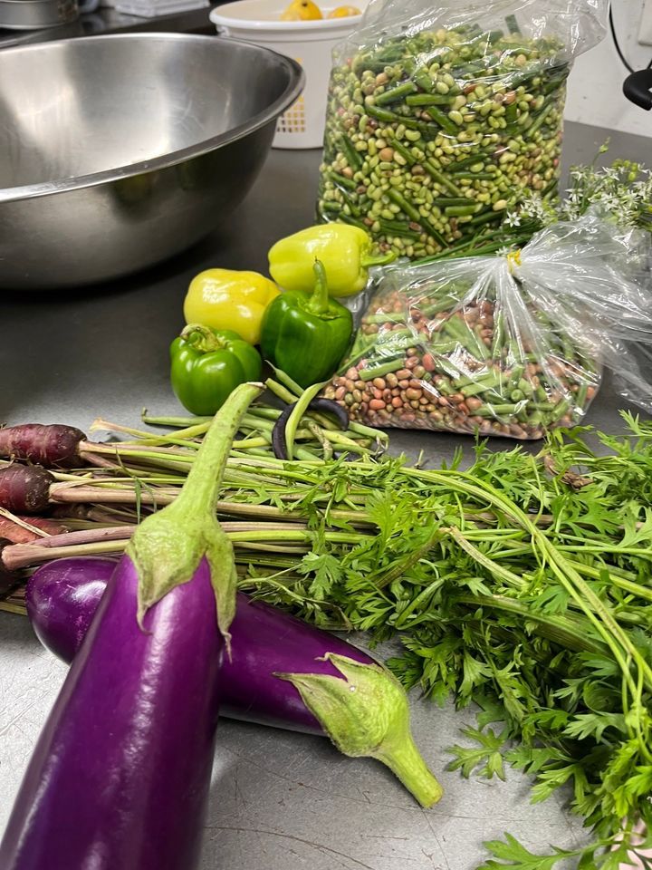 Plant Based Brunch with Arbonne