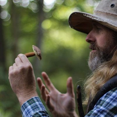 Colin Unsworth, Forest Horizons