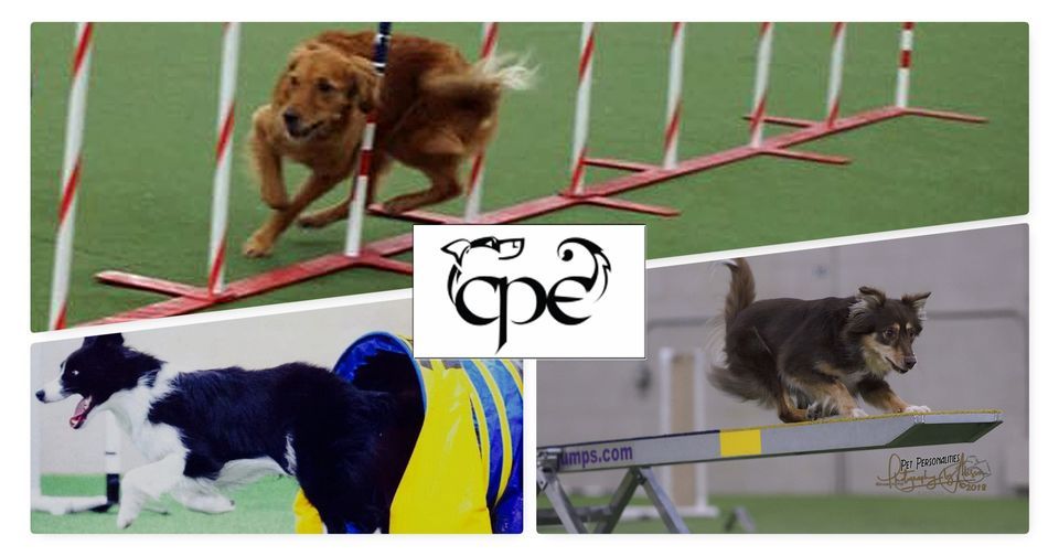CPE Agility Trial August 12 14 2022 Think Pawsitive Dog Training Cpe agility trial august 12 14 2022 think pawsitive dog training
