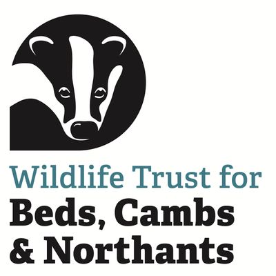 Wildlife Trust BCN