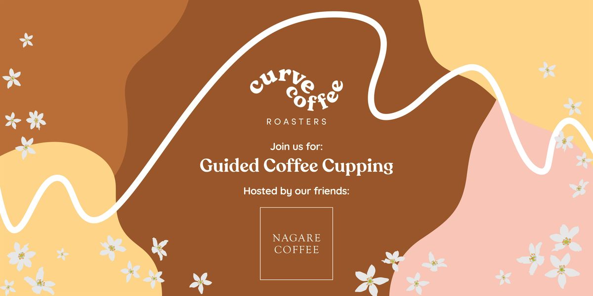 Guided Coffee Cupping | Curve x Nagare
