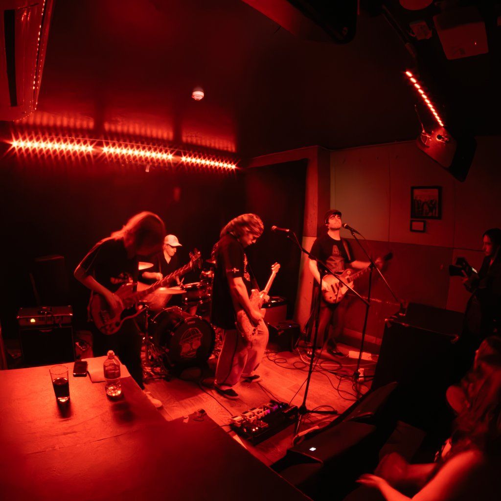 Rosella \/ Triangle X \/ H_ngM_n \/ Turnip